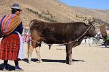 PERU - Mercado de los toros - 04